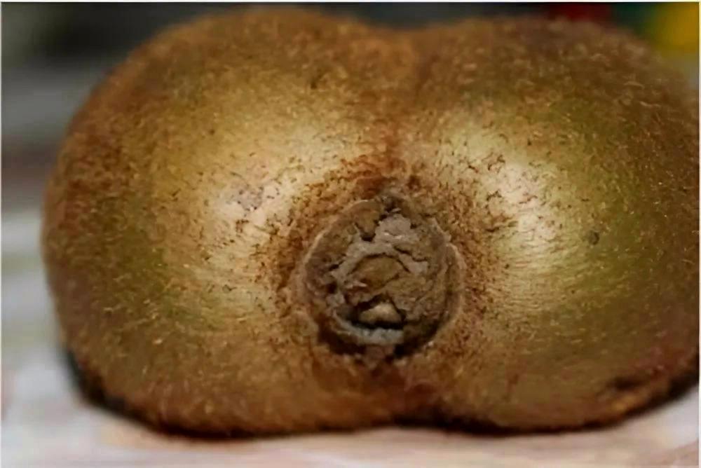 Kiwi textúra
